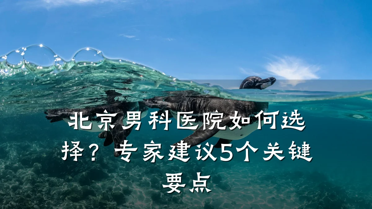 北京男科医院如何选择?专家建议5个关键要点