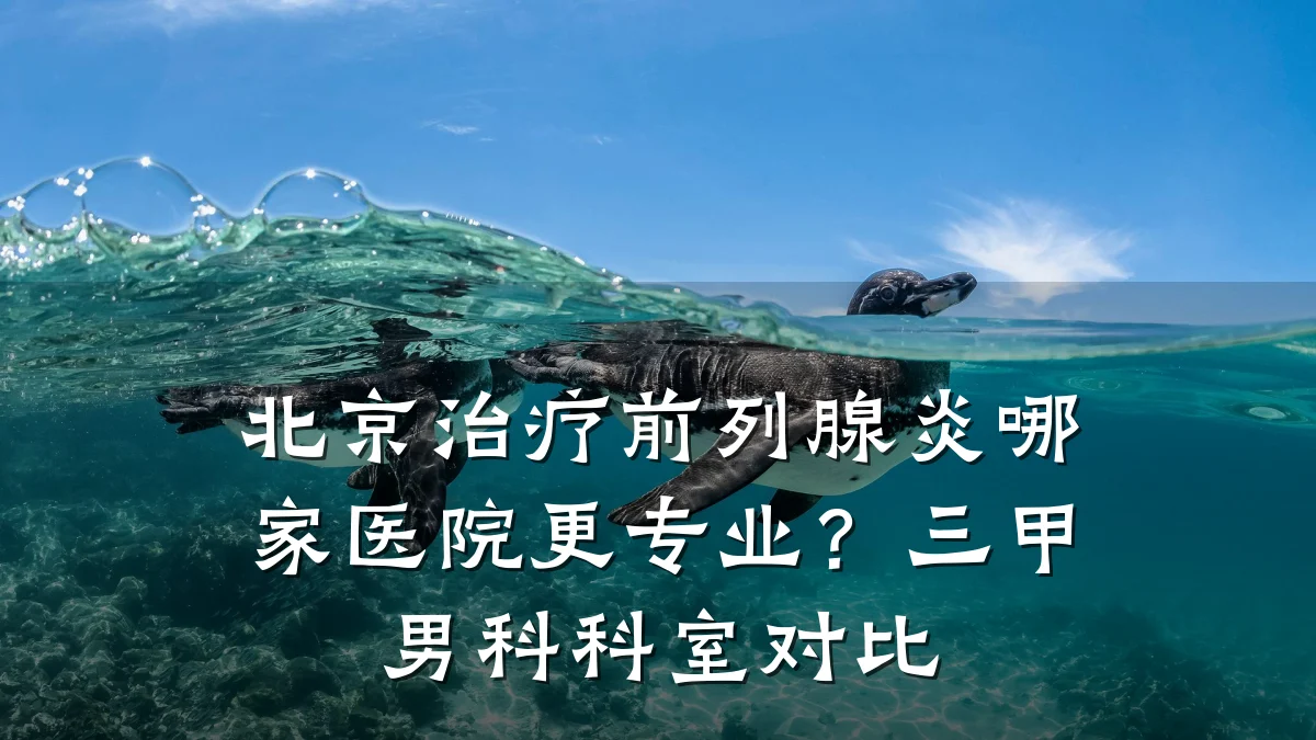 北京治疗前列腺炎哪家医院更专业?三甲男科科室对比