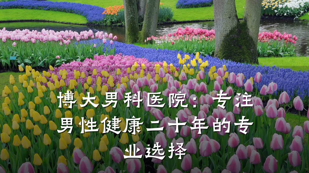 博大男科医院:专注男性健康二十年的专业选择