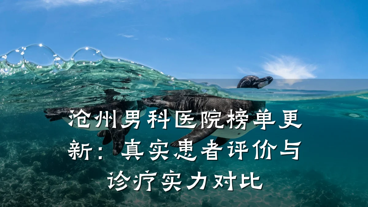 沧州男科医院榜单更新:真实患者评价与诊疗实力对比