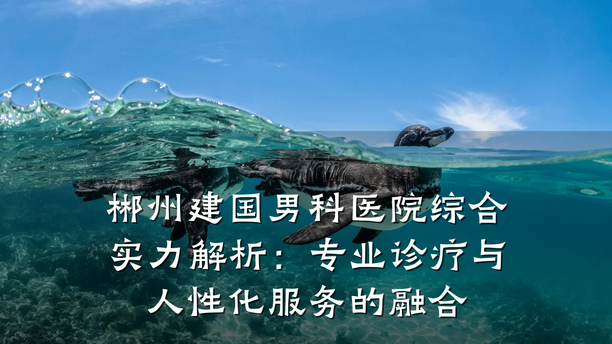 郴州建国男科医院综合实力解析:专业诊疗与人性化服务的融合