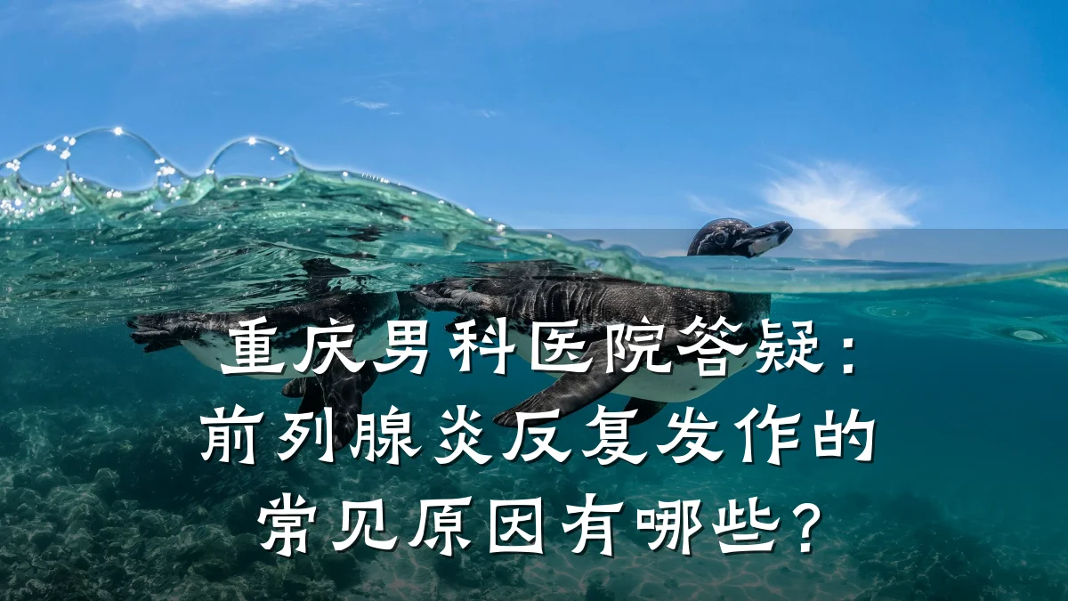 重庆男科医院答疑:前列腺炎反复发作的常见原因有哪些?