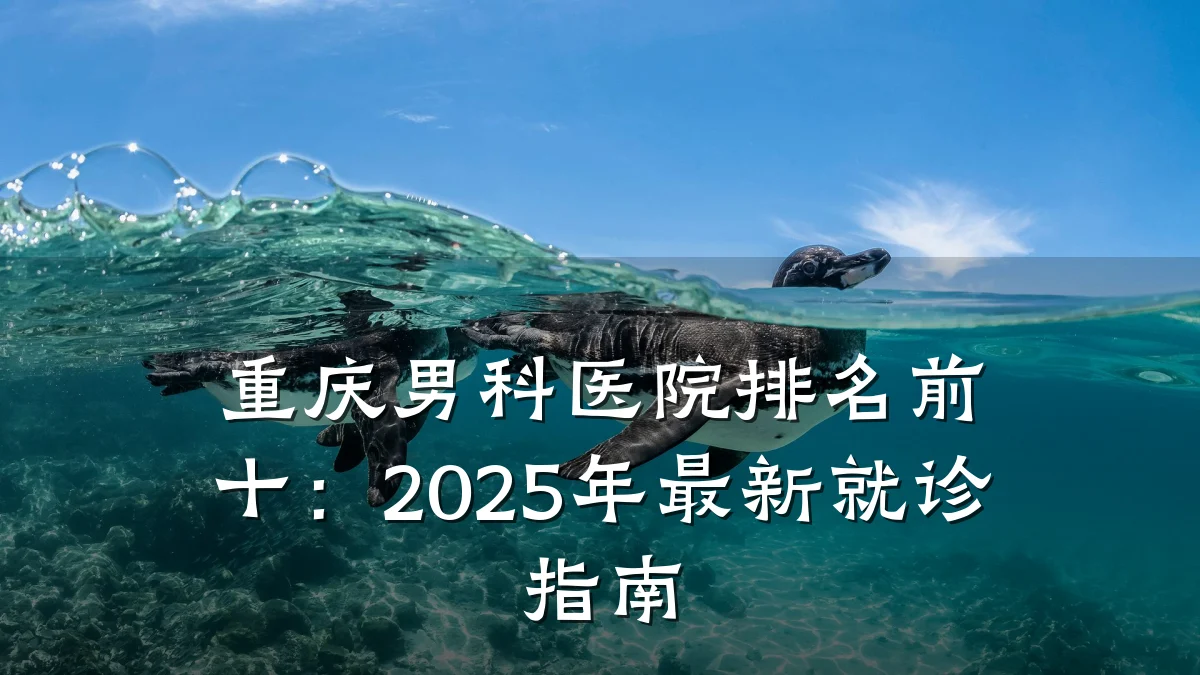 重庆男科医院排名前十:2025年最新就诊指南