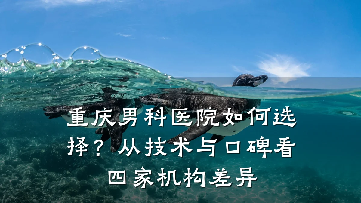 重庆男科医院如何选择?从技术与口碑看四家机构差异