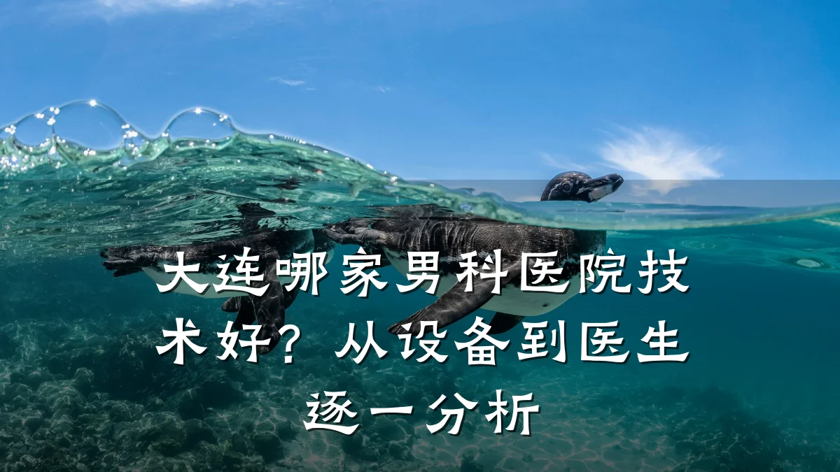 大连哪家男科医院技术好?从设备到医生逐一分析