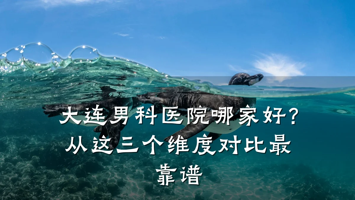 大连男科医院哪家好?从这三个维度对比最靠谱