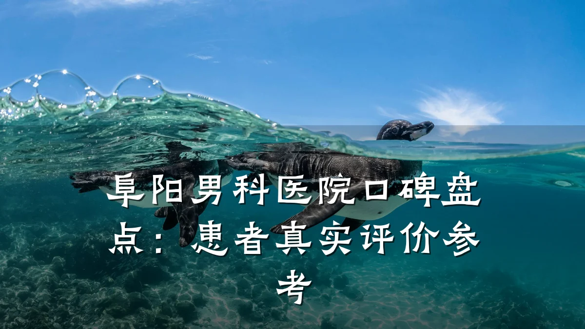 阜阳男科医院口碑盘点:患者真实评价参考