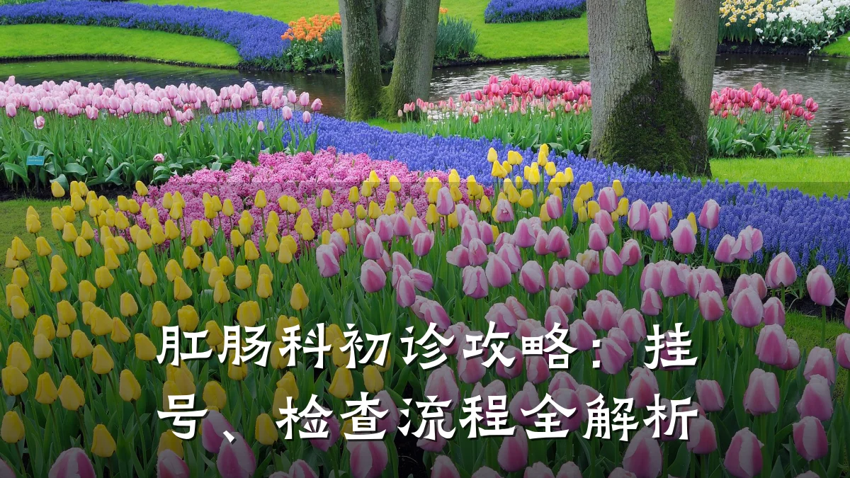 肛肠科初诊攻略:挂号、检查流程全解析