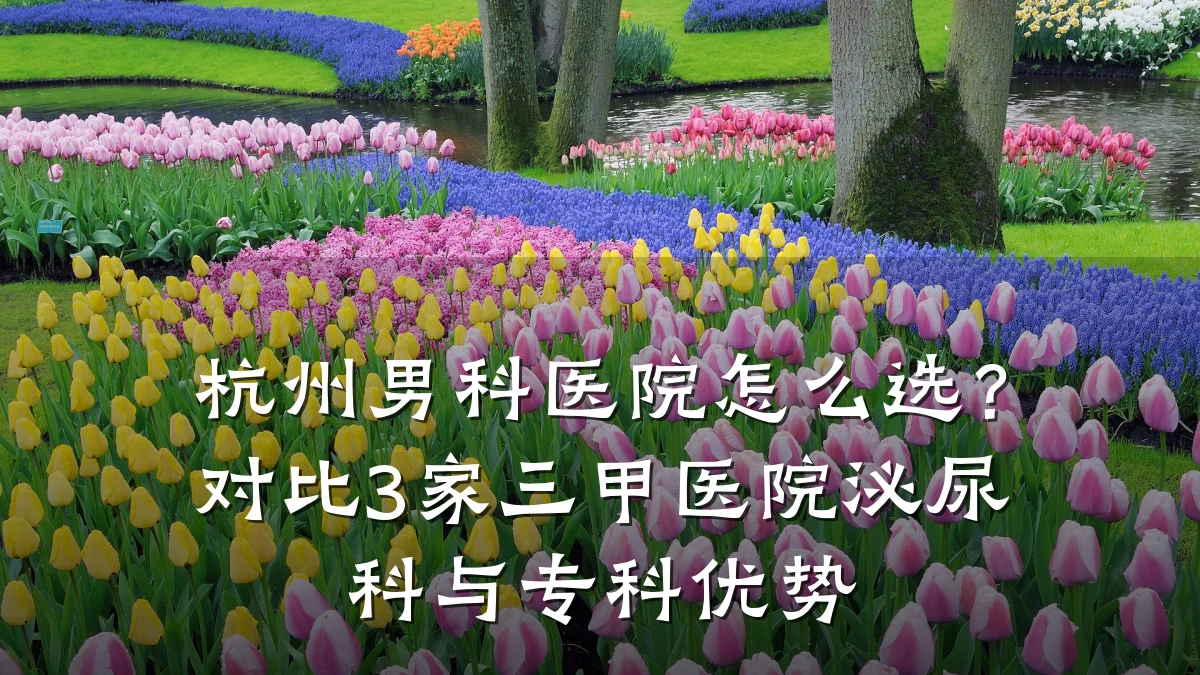杭州男科医院怎么选?对比3家三甲医院泌尿科与专科优势