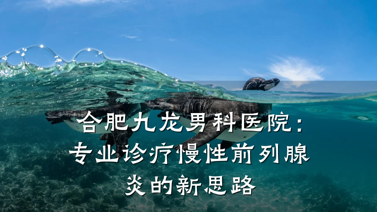 合肥九龙男科医院:专业诊疗慢性前列腺炎的新思路
