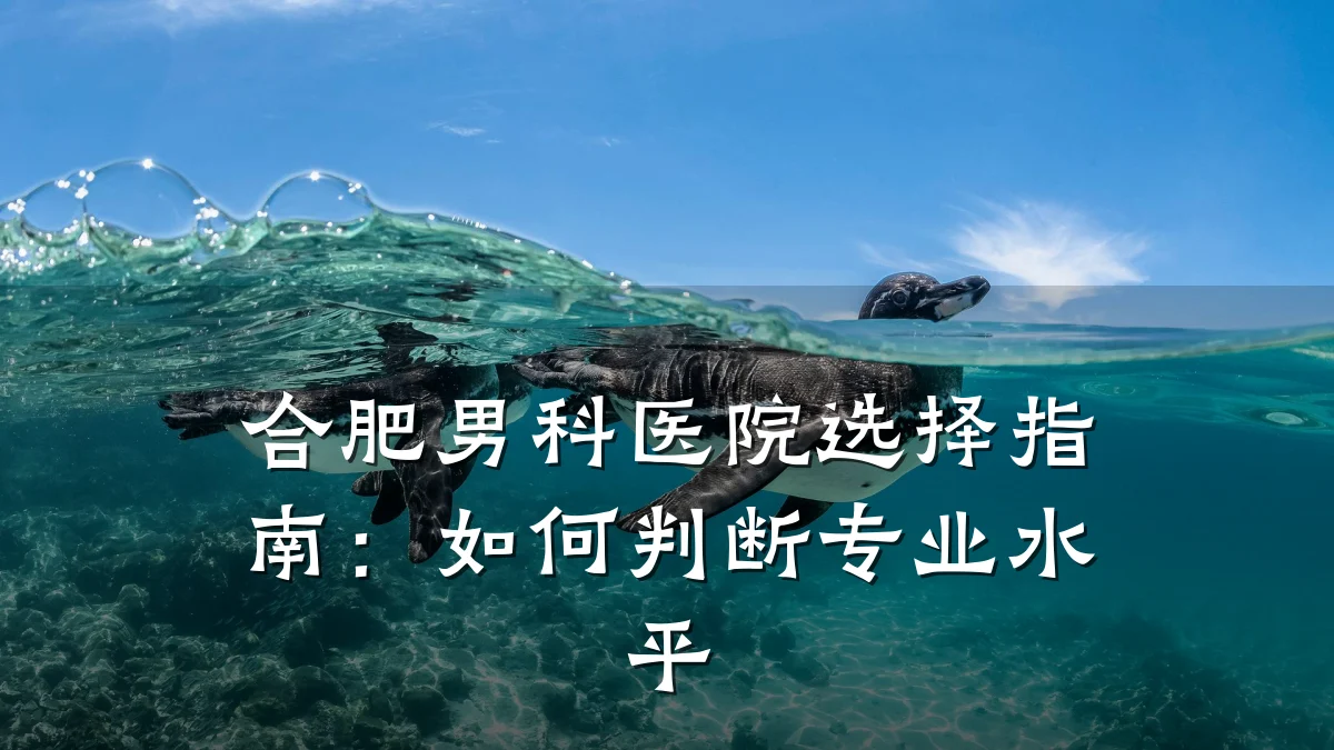 合肥男科医院选择指南:如何判断专业水平