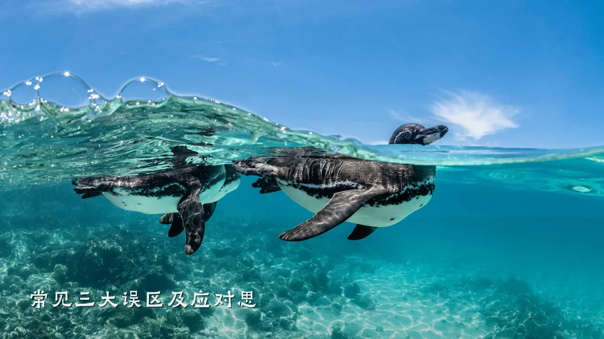常见三大误区及应对思