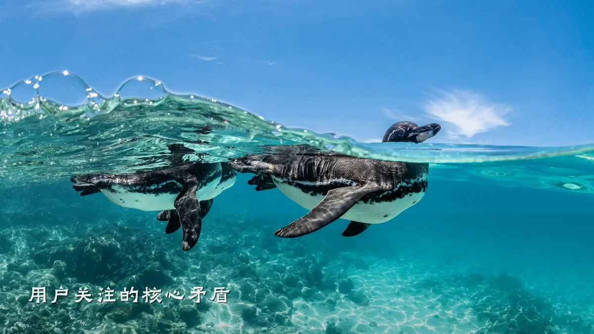 用户关注的核心矛盾