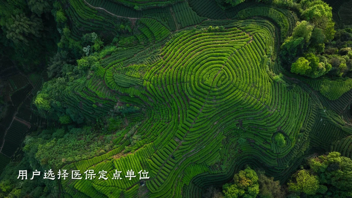 用户选择医保定点单位