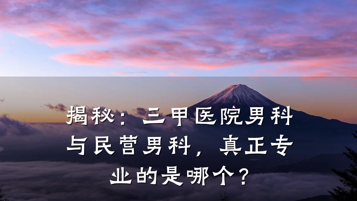 揭秘:三甲医院男科与民营男科,真正专业的是哪个?
