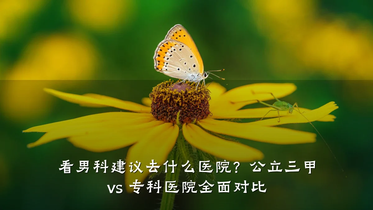 看男科建议去什么医院?公立三甲 vs 专科医院全面对比