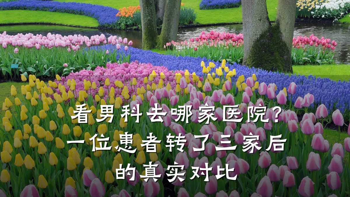 看男科去哪家医院?一位患者转了三家后的真实对比
