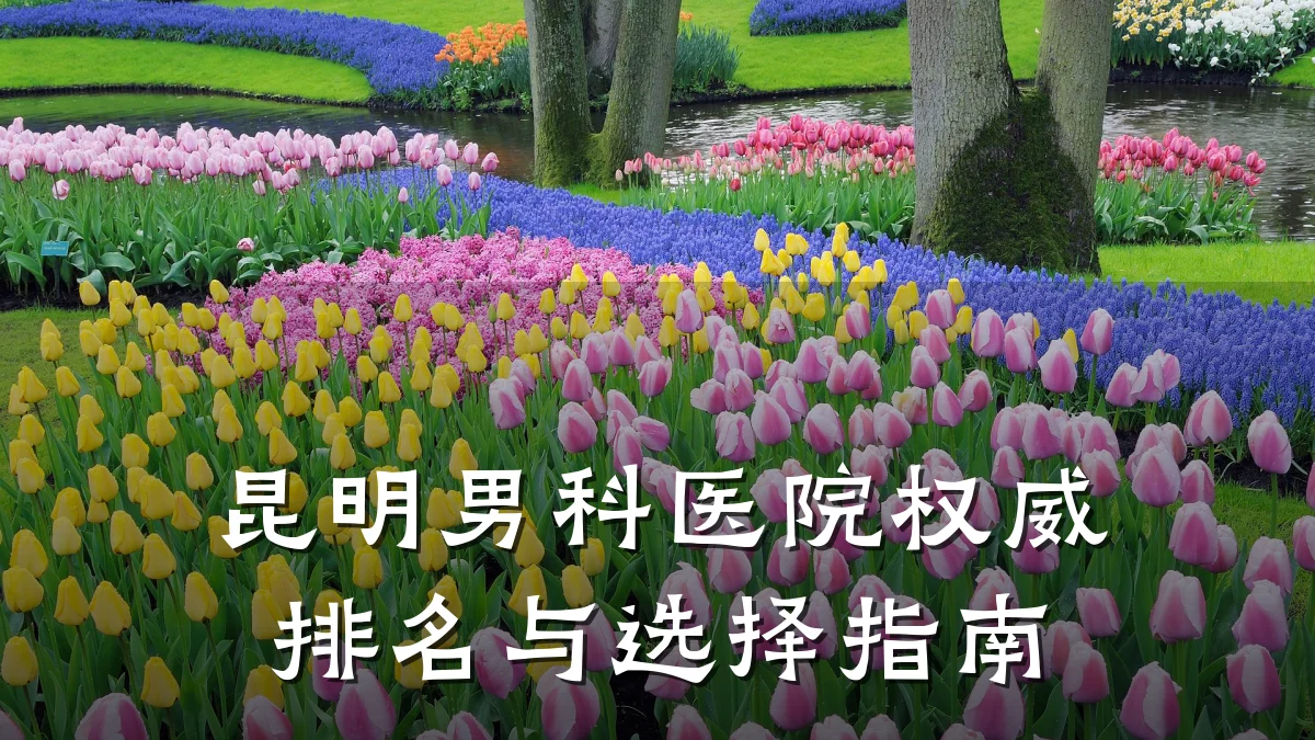 昆明男科医院权威排名与选择指南