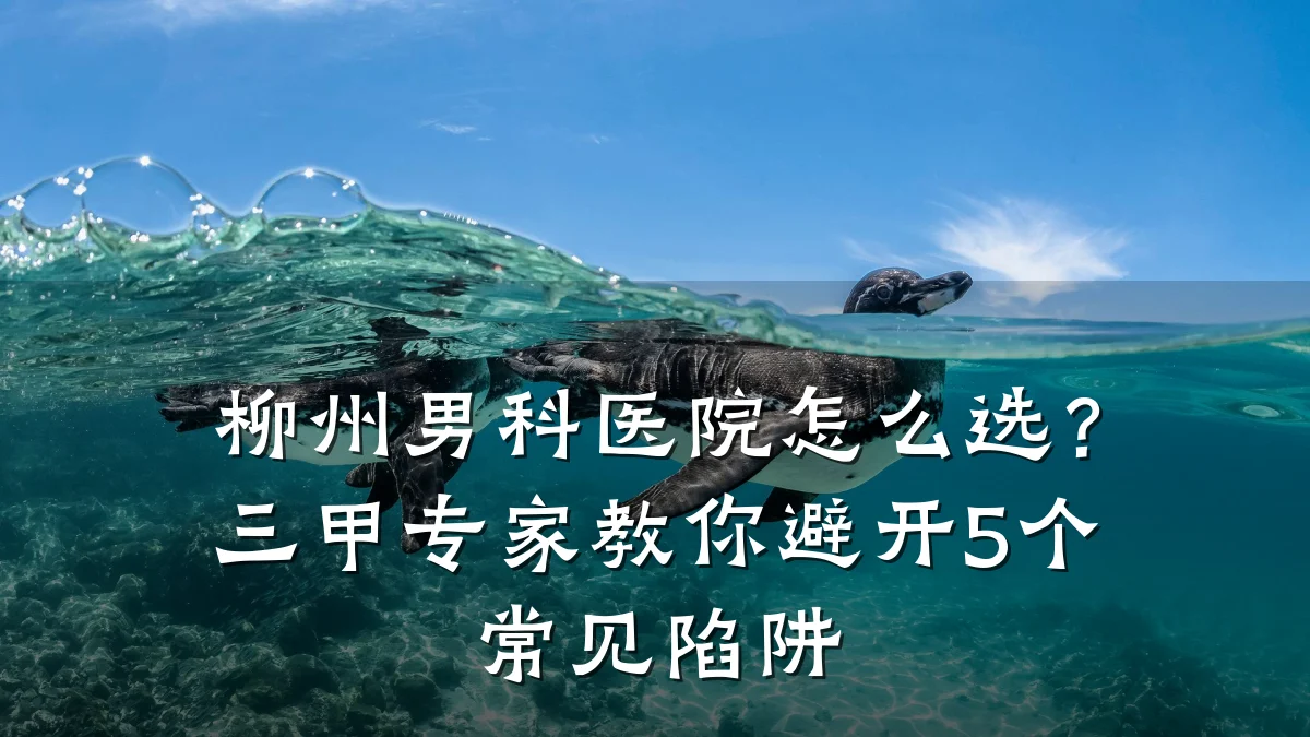 柳州男科医院怎么选?三甲专家教你避开5个常见陷阱