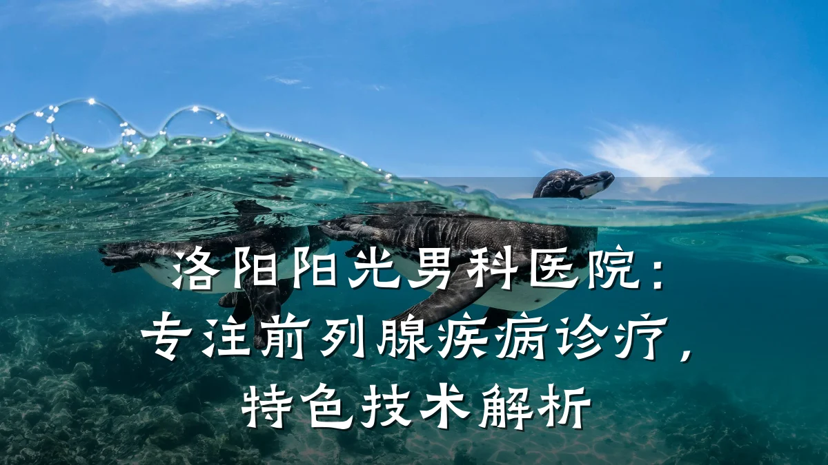 洛阳阳光男科医院:专注前列腺疾病诊疗,特色技术解析