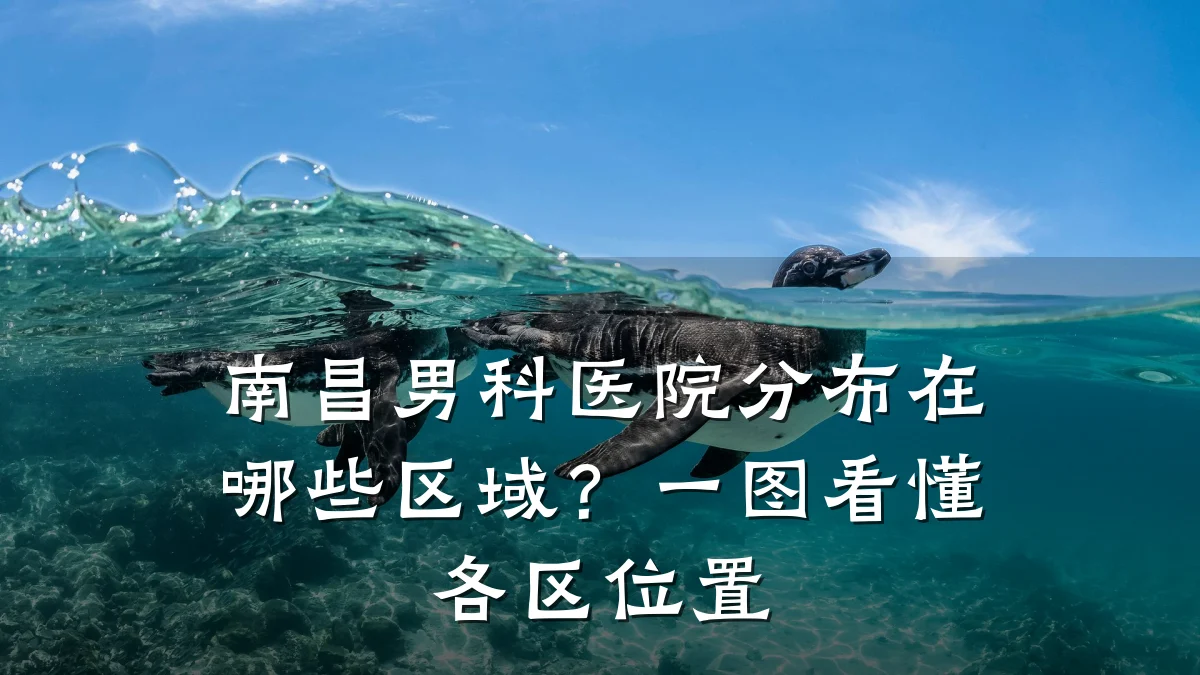 南昌男科医院分布在哪些区域?一图看懂各区位置