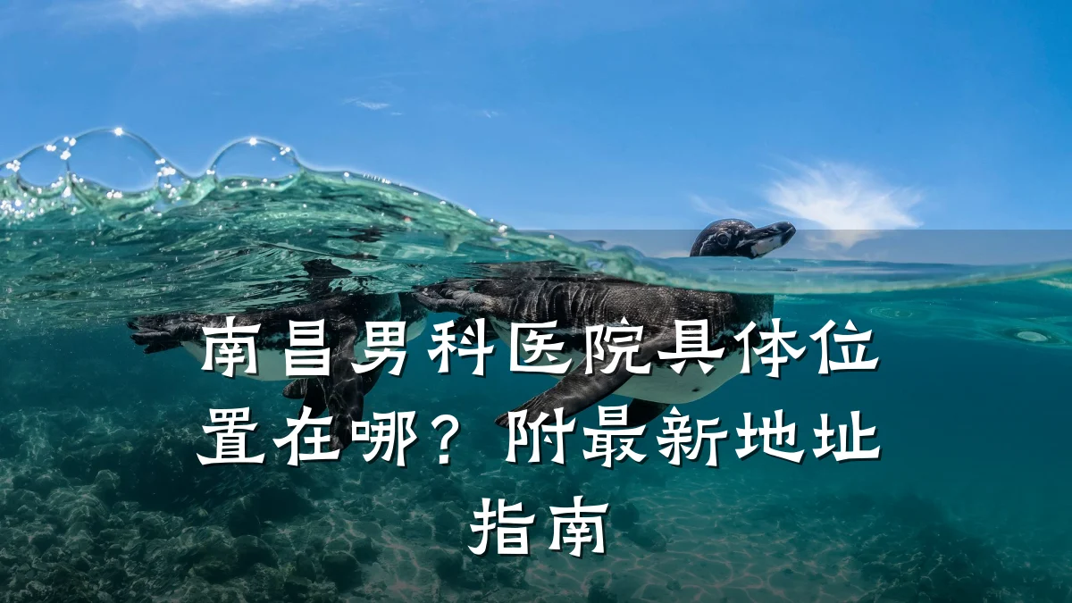 南昌男科医院具体位置在哪?附最新地址指南