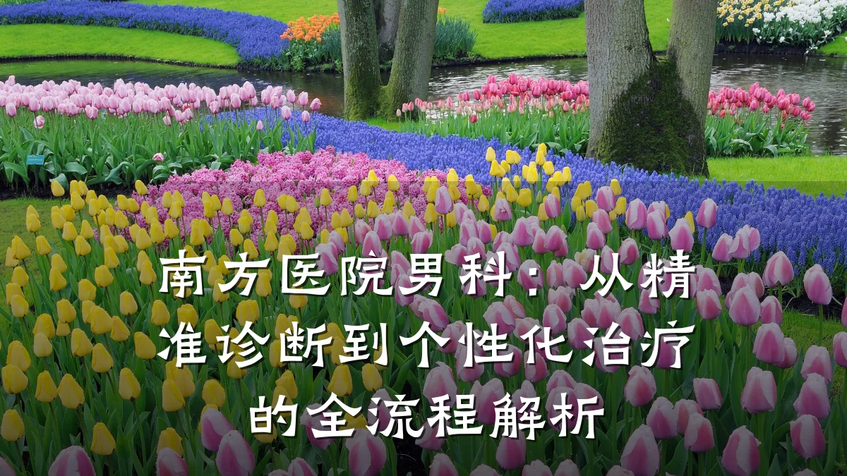 南方医院男科:从精准诊断到个性化治疗的全流程解析