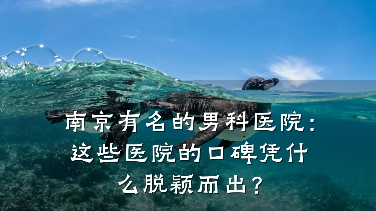 南京有名的男科医院:这些医院的口碑凭什么脱颖而出?