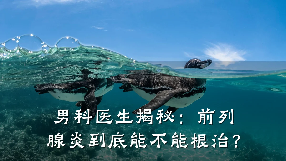 男科医生揭秘:前列腺炎到底能不能根治?
