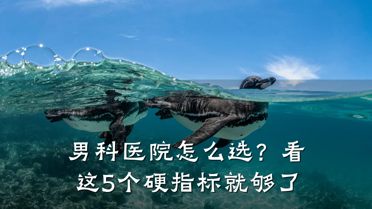 男科医院怎么选?看这5个硬指标就够了