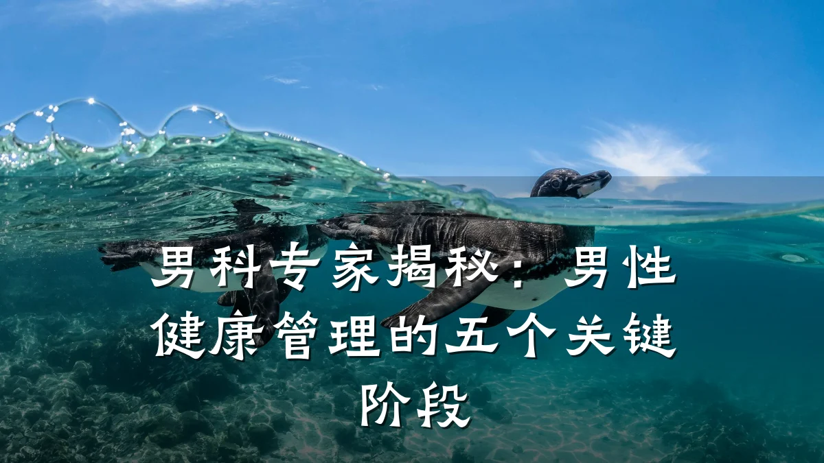 男科专家揭秘:男性健康管理的五个关键阶段