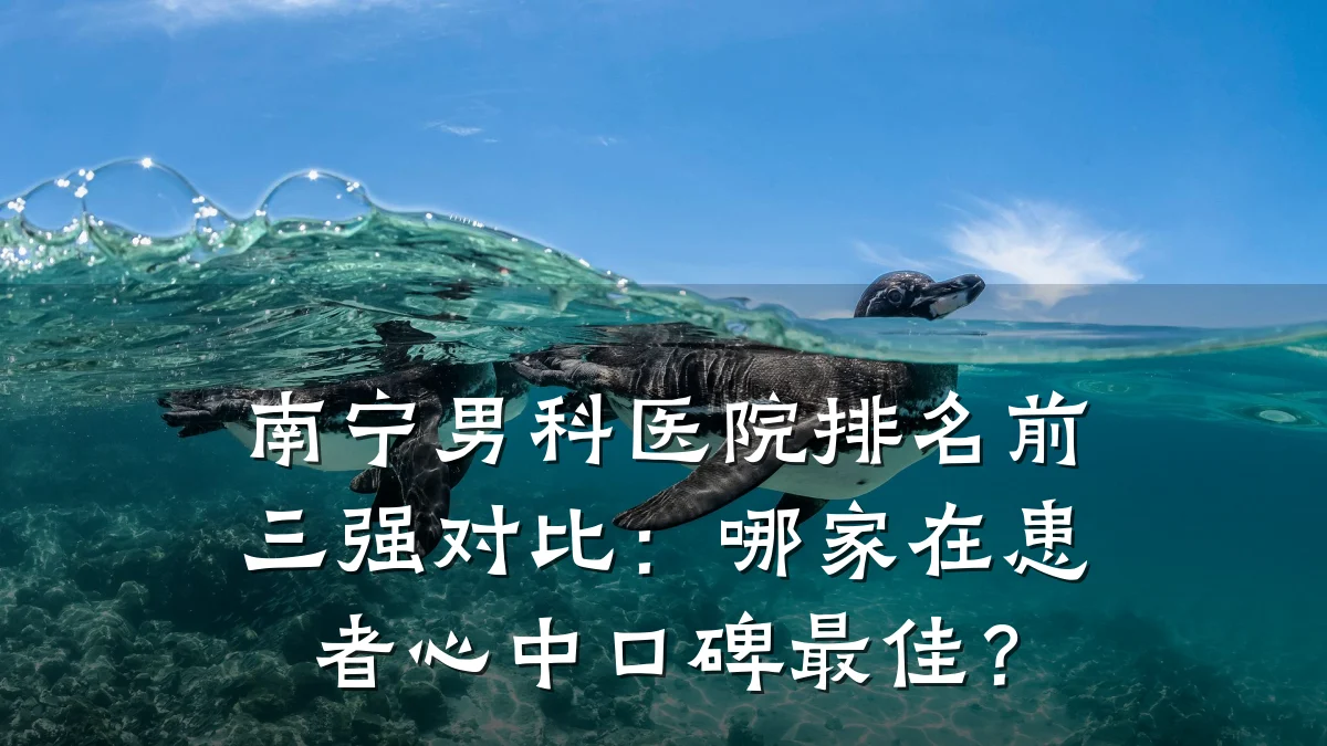 南宁男科医院排名前三强对比:哪家在患者心中口碑最佳?