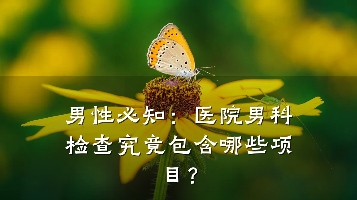 男性必知:医院男科检查究竟包含哪些项目?