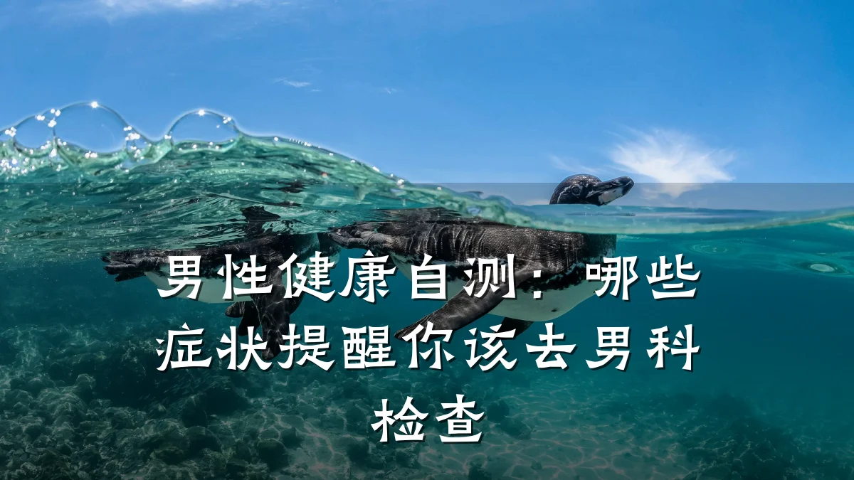 男性健康自测:哪些症状提醒你该去男科检查