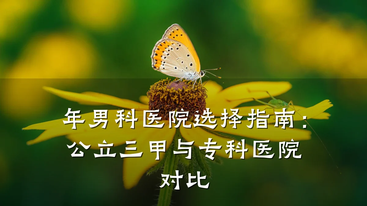 年男科医院选择指南:公立三甲与专科医院对比