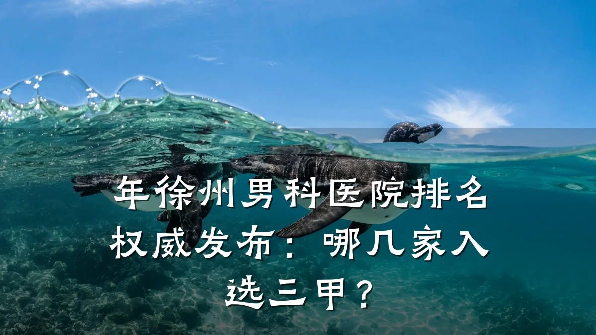 年徐州男科医院排名权威发布:哪几家入选三甲?