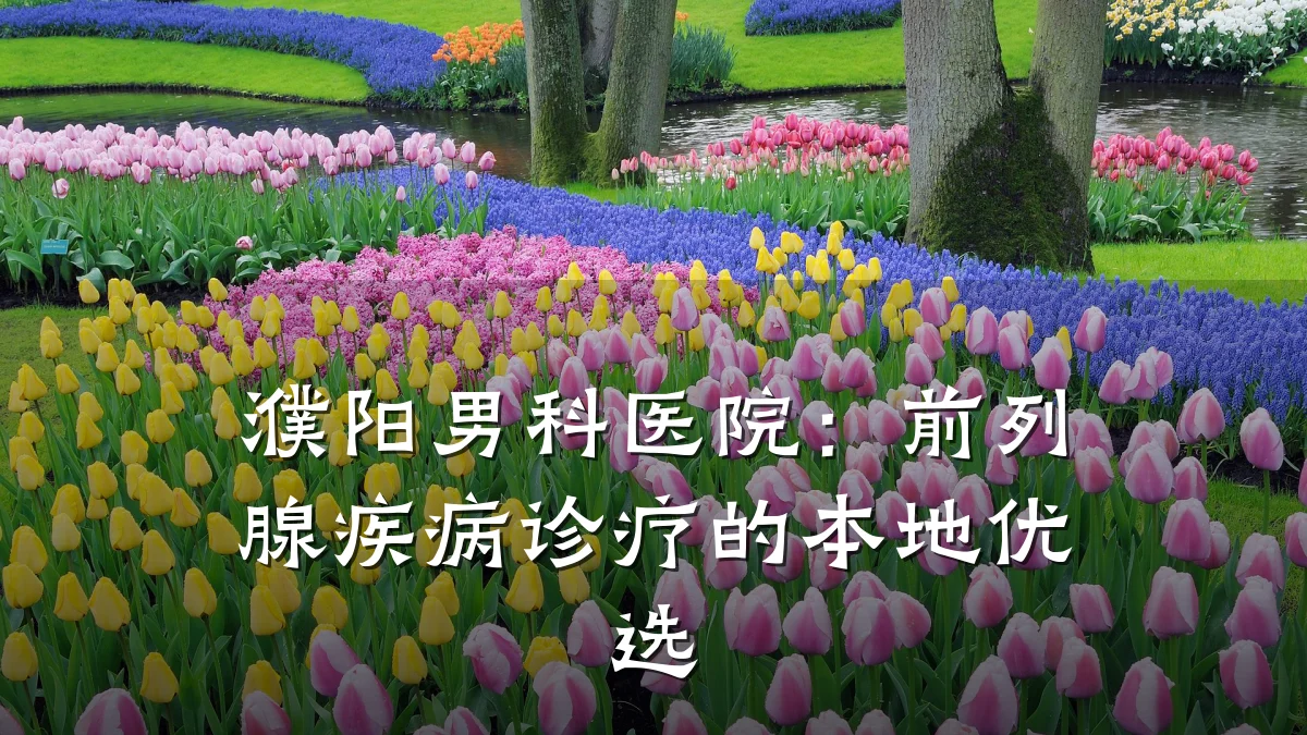 濮阳男科医院:前列腺疾病诊疗的本地优选
