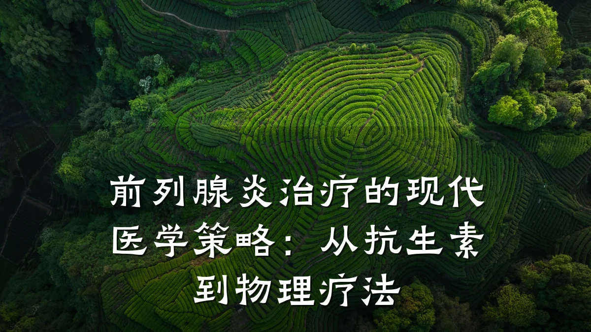 前列腺炎治疗的现代医学策略:从抗生素到物理疗法