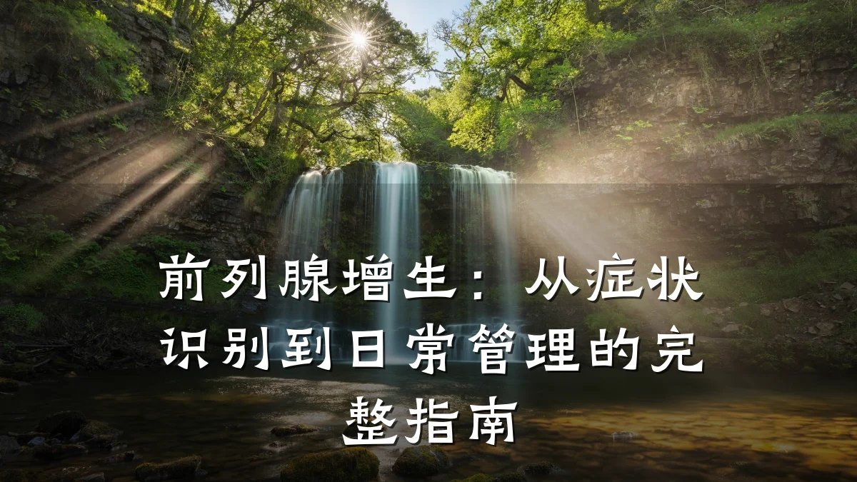 前列腺增生:从症状识别到日常管理的完整指南
