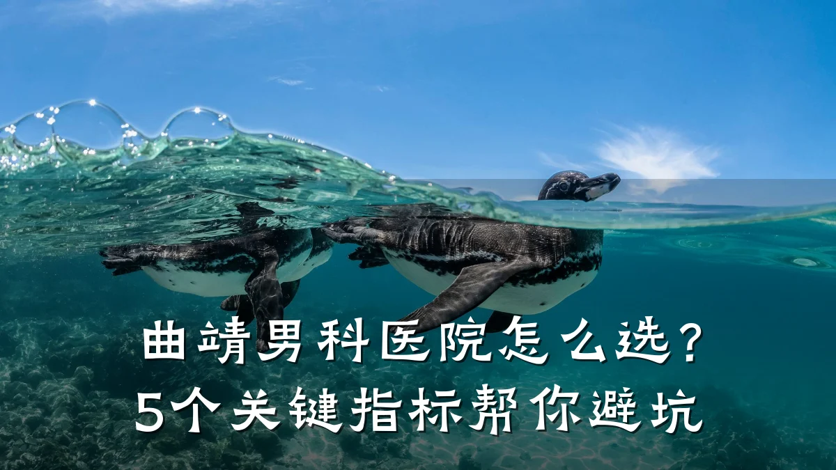 曲靖男科医院怎么选?5个关键指标帮你避坑
