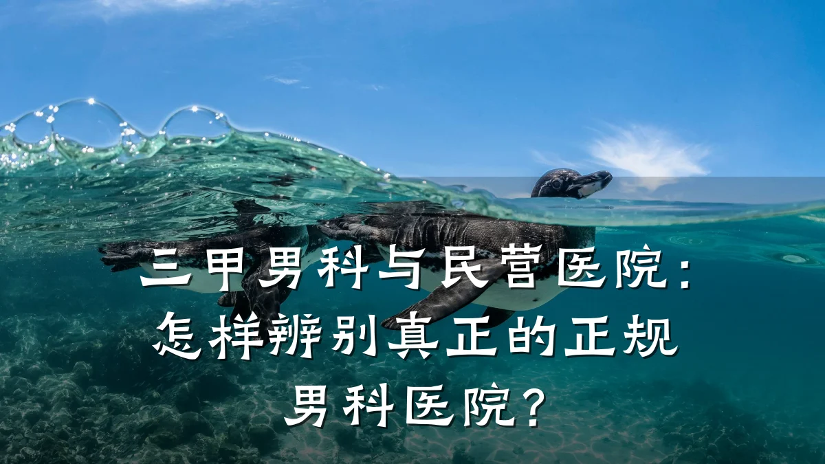 三甲男科与民营医院:怎样辨别真正的正规男科医院?