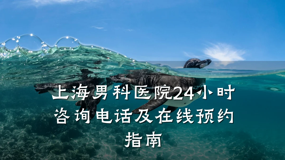 上海男科医院24小时咨询电话及在线预约指南