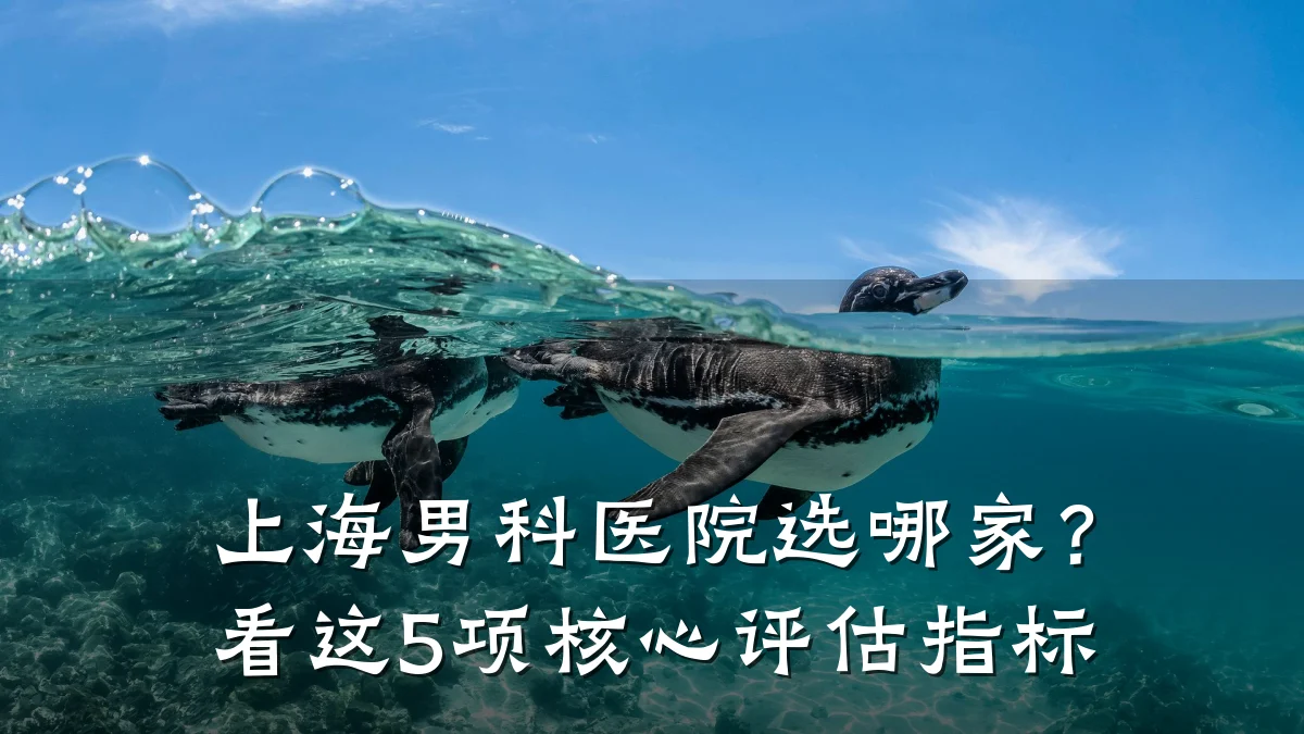 上海男科医院选哪家?看这5项核心评估指标