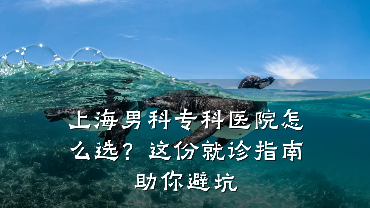 上海男科专科医院怎么选?这份就诊指南助你避坑