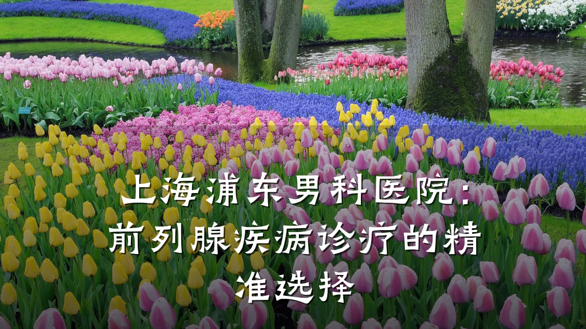 上海浦东男科医院:前列腺疾病诊疗的精准选择