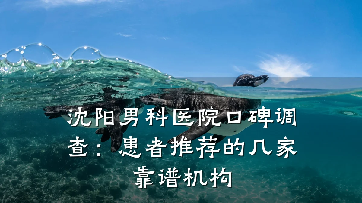 沈阳男科医院口碑调查:患者推荐的几家靠谱机构