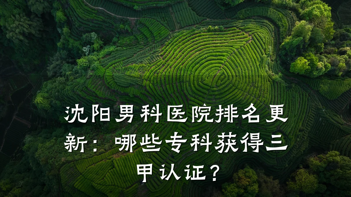 沈阳男科医院排名更新:哪些专科获得三甲认证?