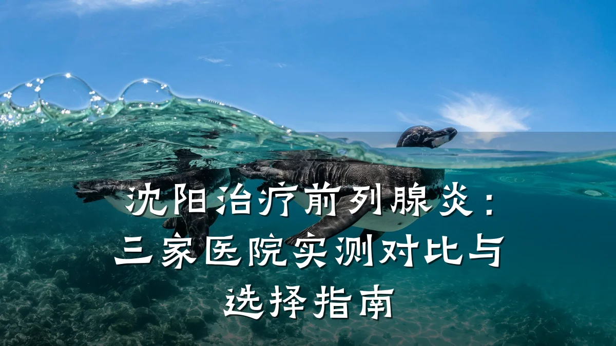 沈阳治疗前列腺炎:三家医院实测对比与选择指南