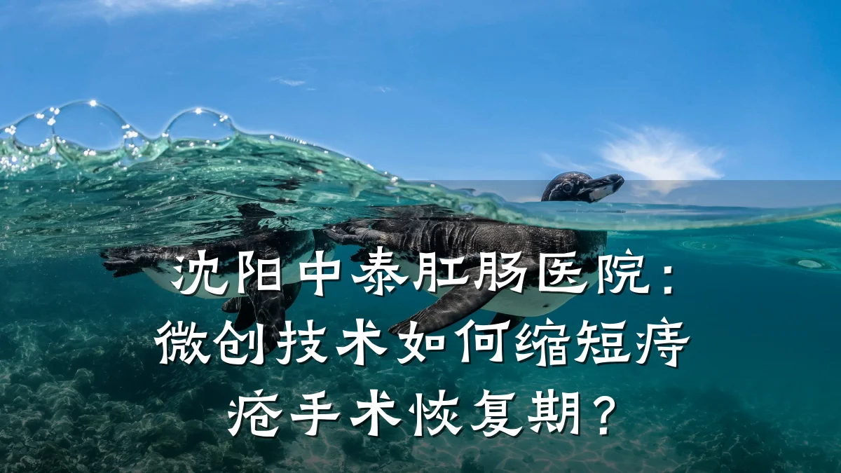 沈阳中泰肛肠医院:微创技术如何缩短痔疮手术恢复期?