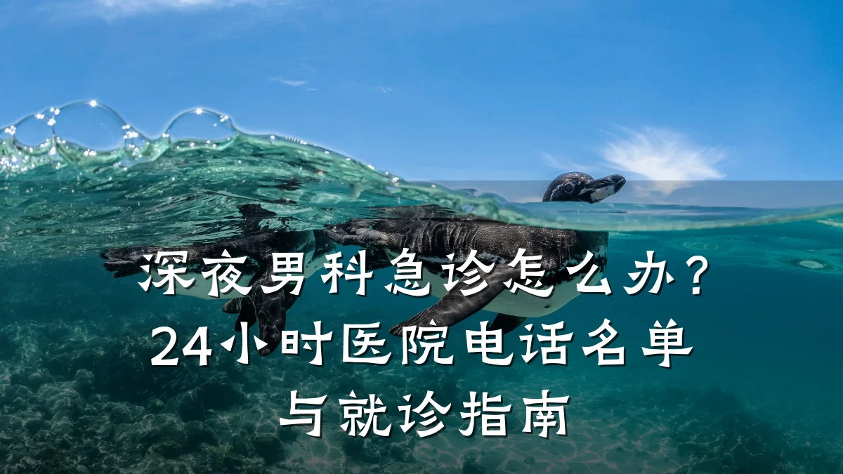 深夜男科急诊怎么办?24小时医院电话名单与就诊指南